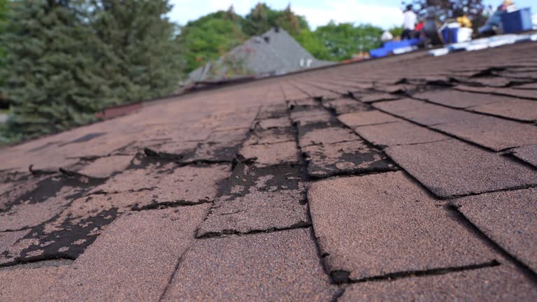 Steel Roofing in Fort Mckinley, OH